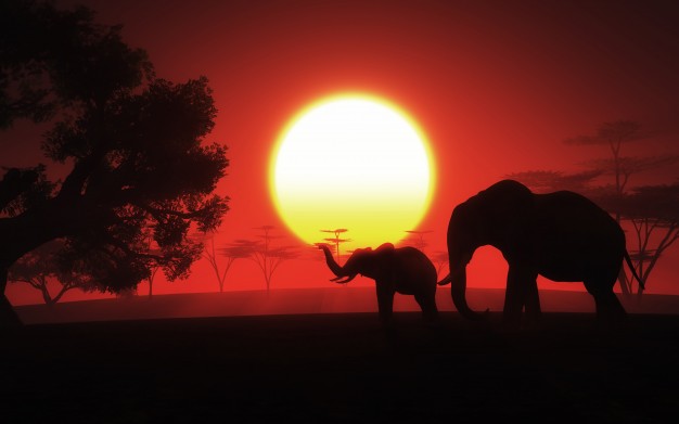 africa
