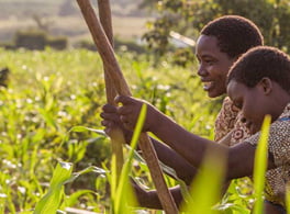 kenya-agricuture-big