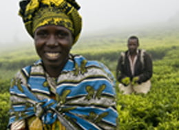 southafrica_sme