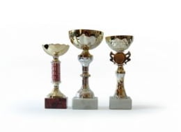 trophy