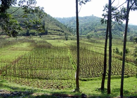 SMEs push for improved access to finance in Rwanda