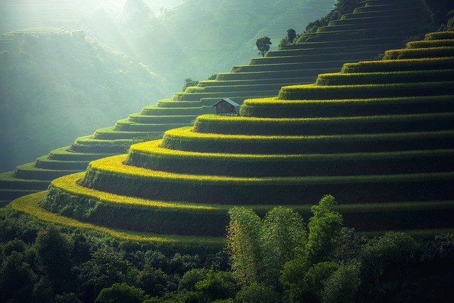 Myanmar