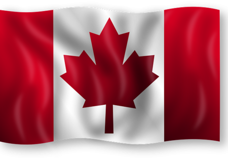 Canada expands credit insurance for canola exporters as China dispute continues