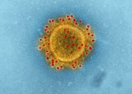 Budget 2020: Coronavirus SME stimulus waives 2% fee on UK asset financing
