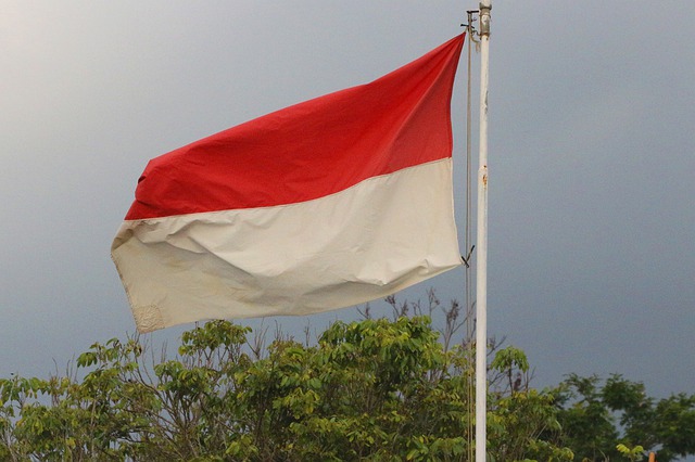 flag-4838413_640
