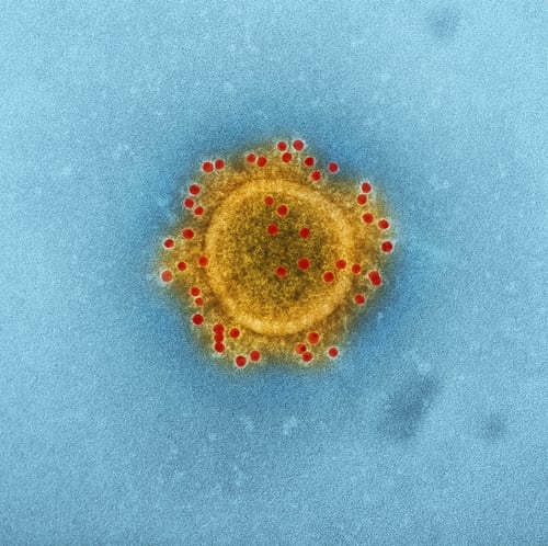 coronavirus 2