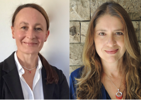 The role of development banks and other public entities in promoting SCF