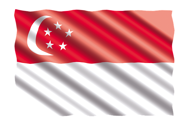Singapore flag