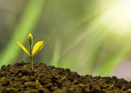 ScotPac launches US$100m SME fund to help Australian and New Zealand small business sector