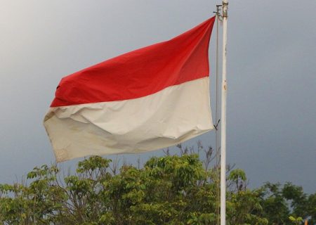 Snapbizz partners Boost to offer digital financial services in Indonesia