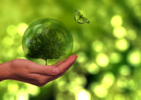 HSBC and PVH Corp. partner on first sustainable SCF program