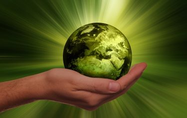 sustainability-