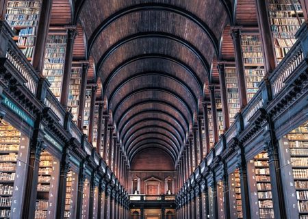 Muse Finance launches SCF solution on Irish market