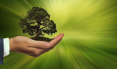 GreenFirst announces the extension of its ABL facility with Bank of Montreal