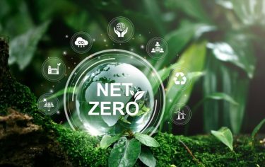 sustainability