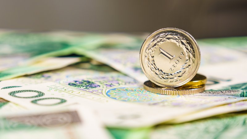 polish zloty