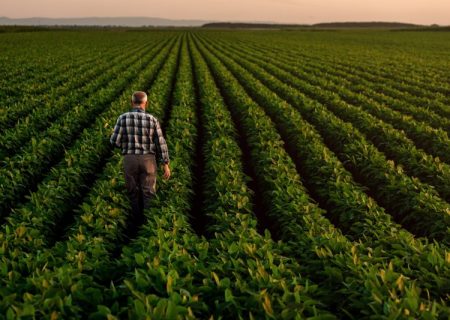 Hectare launches Advance Pay: revolutionising agricultural finance for arable farmers