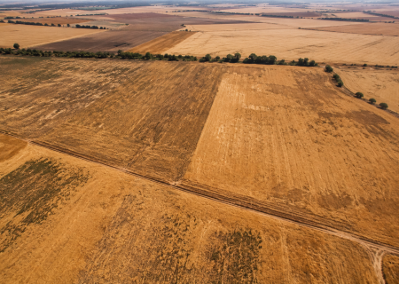 Europe’s heatwave turns crop losses into a working-capital test